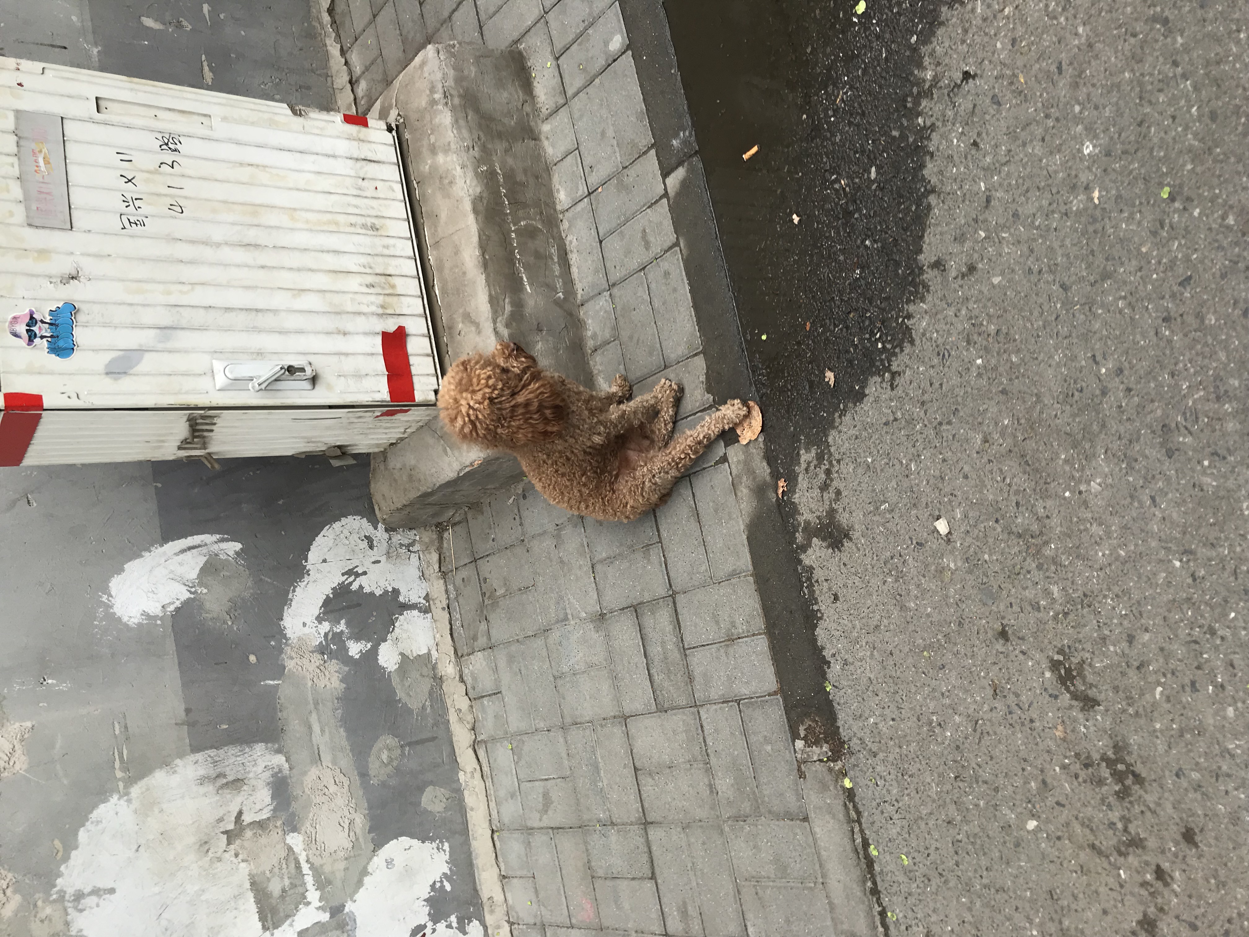 ./2018/03 - Viking China/10 - Hutong/IMG_5901.JPG